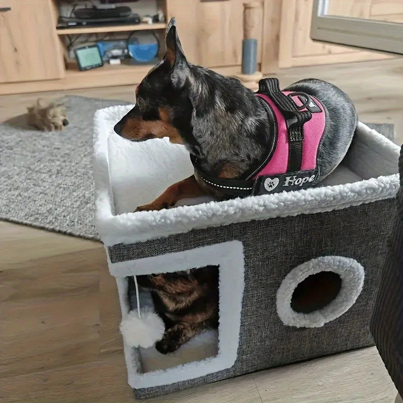 4-Season Multi-Level Cat House